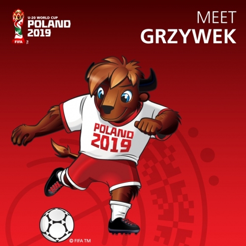 2019 FIFA U-20 월드컵 마스코트 공개…들소 '그시베크'