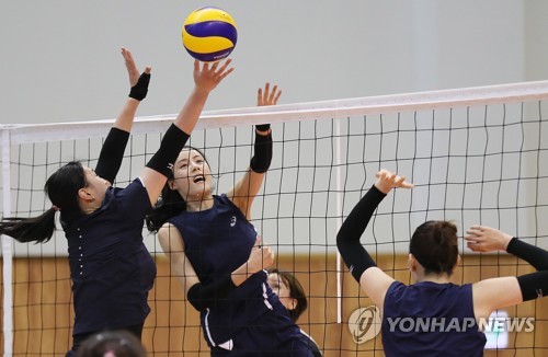 여자배구 대표팀 세터 이다영·안혜진, 부상으로 '조기 귀국'
