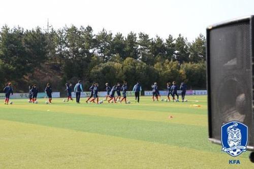 첫 '평양 원정' 벤투호, 북한 인조잔디·단체응원 적응 '고심'