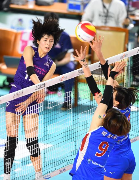 여자배구 V리그 19일 팡파르…흥국생명-도로공사 개막전 격돌