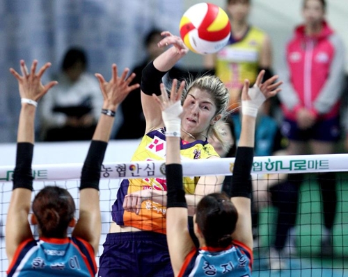 女배구 테일러 우승-득점 톱3 목표…흥국생명에 이기면 좋겠다