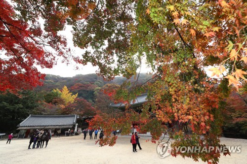 '가을이 간다'…포근한 날씨에 전국 유명산 단풍 인파 '북적'