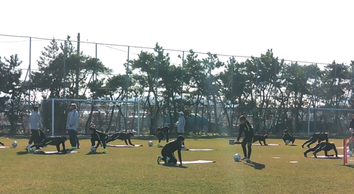 여자 축구 대표팀도 '부상 조심'…미드필더 2명 훈련 불참