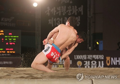 경자년 모래판의 판도는?…설날씨름대회 22일 개막