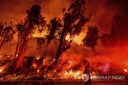 미국 골프대회 도중 산불로 선수들 '대피 소동'