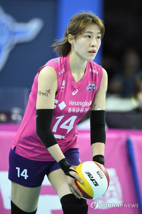 여자프로배구 FA 'A그룹' 연봉 기준 논의…1억원에서 상승 전망