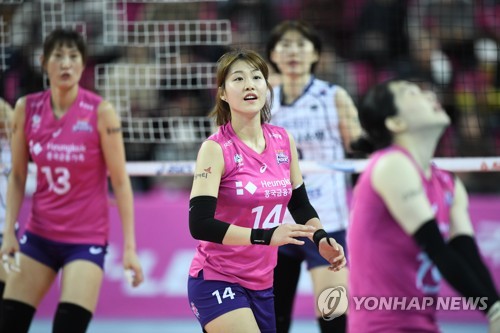 김연경, 10년 만에 프로배구 컵대회 출전…여자부 30일 개막