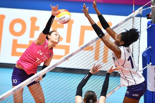 압도적인 흥국생명, 또 3-0 승리…현대건설과 준결승 격돌(종합2보)