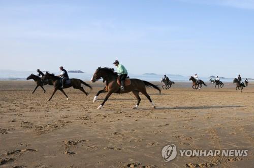 익산시, 용안생태습지공원 인근에 '공공 승마장' 내년 말 완공