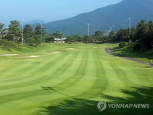 캐디가 카트 안타니 괜찮아요 부산 골프장들 꼼수 라운딩